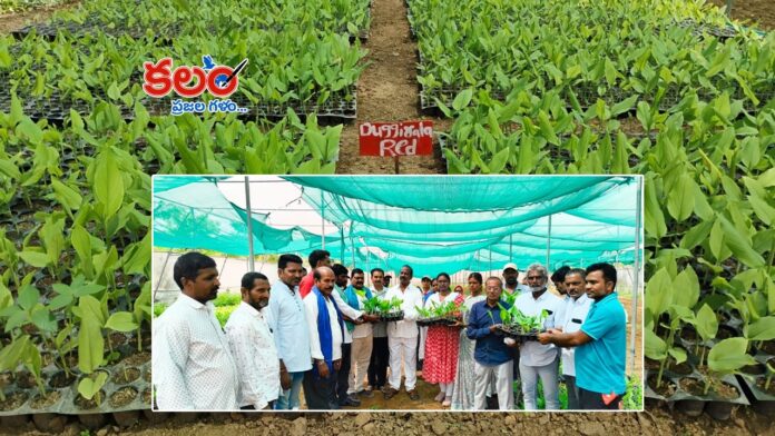 Nizamabad Farmers