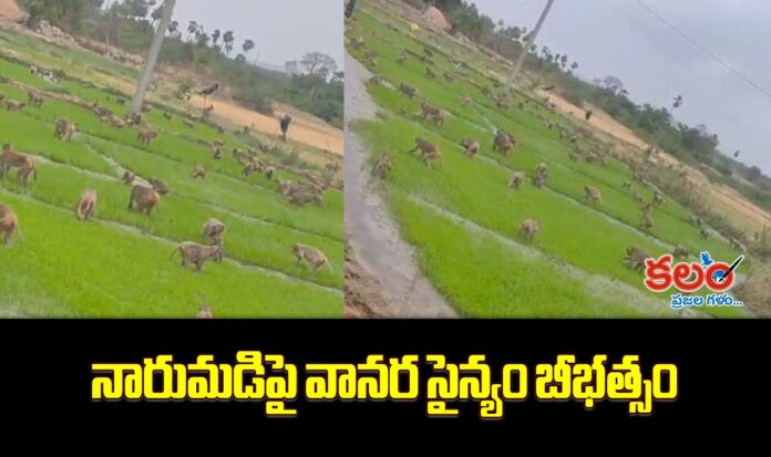 Siddipet