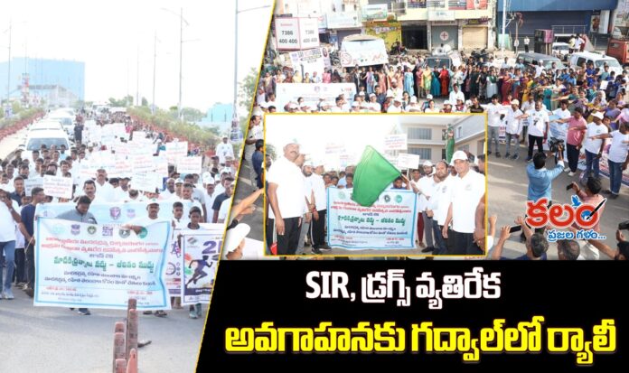 Gadwal Collector