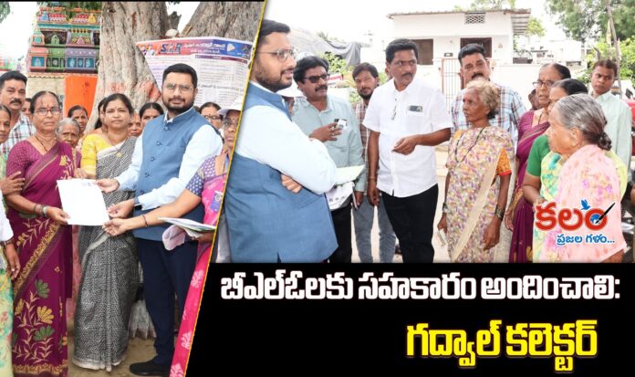 Gadwal Collector