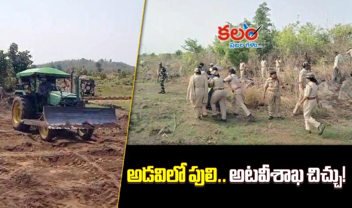 Nirmal Forest