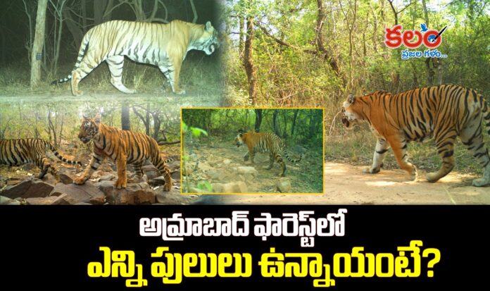 Amrabad Tiger Reserve