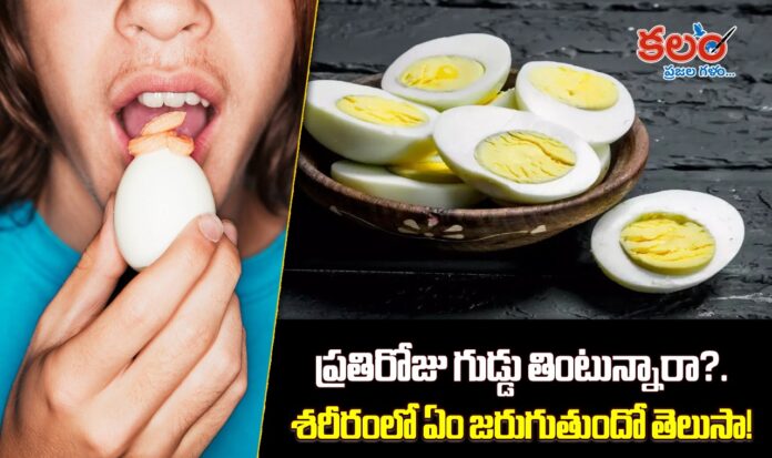 Egg