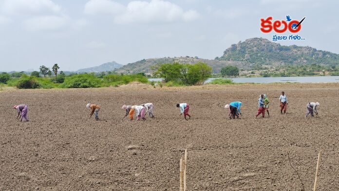 Nalgonda Farmers