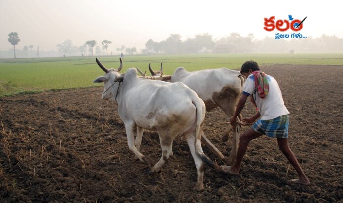 Tenant Farmers