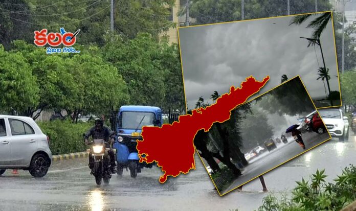 AP Weather