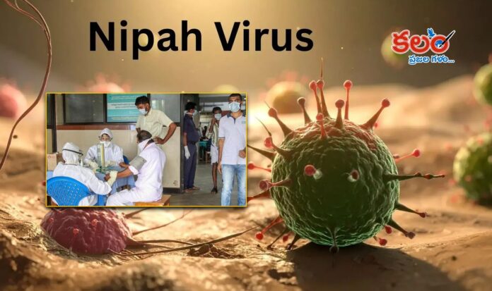 Nipah Virus