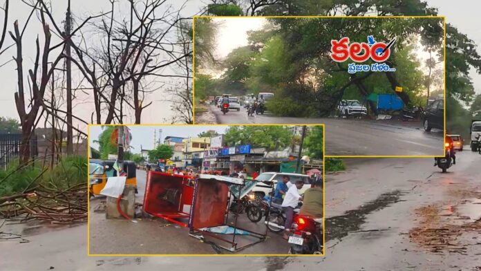 Sangareddy