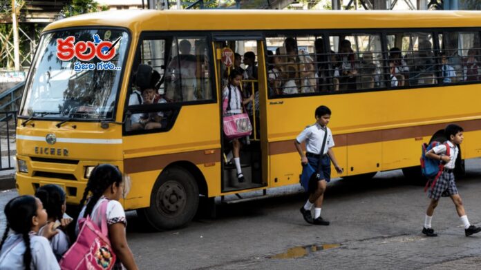 School Buses