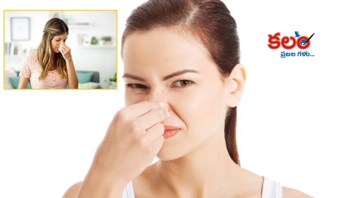 Cleaning Tips
