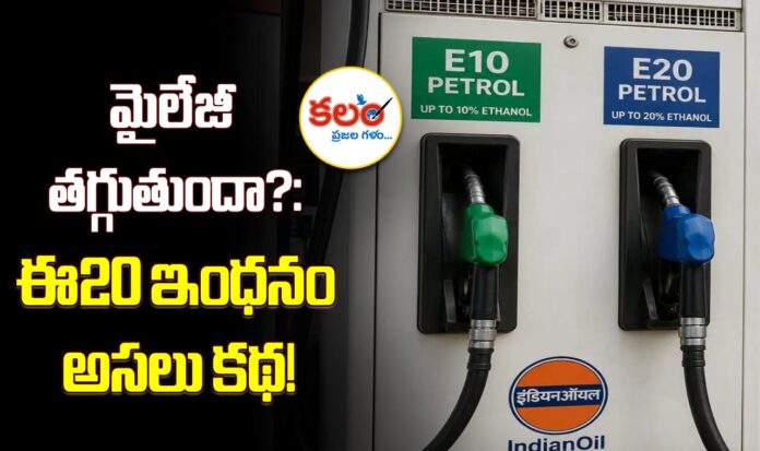 E20 Petrol