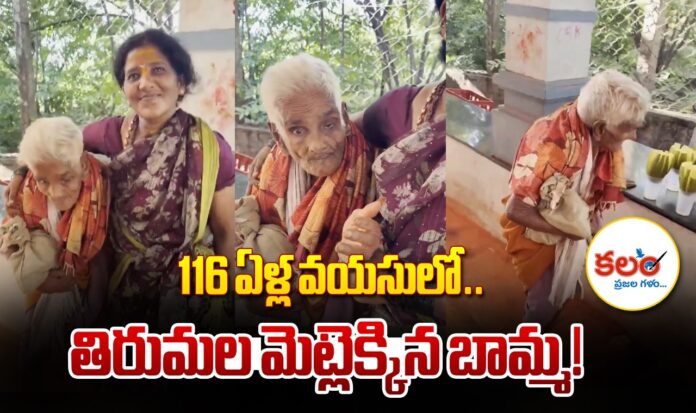 Old Woman Climbs Tirumala