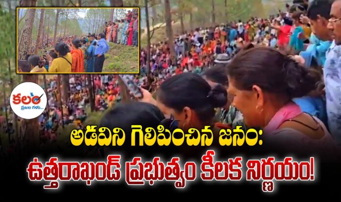Rishikesh Tree Felling