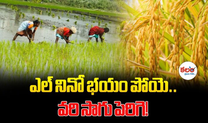 Telangana Farmers