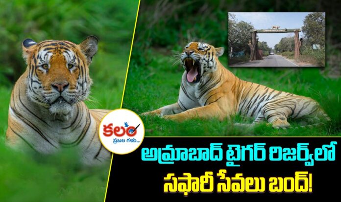 Amrabad Tiger Reserve