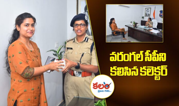 Warangal CP