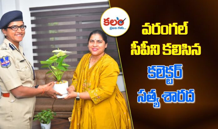 CP Swetha