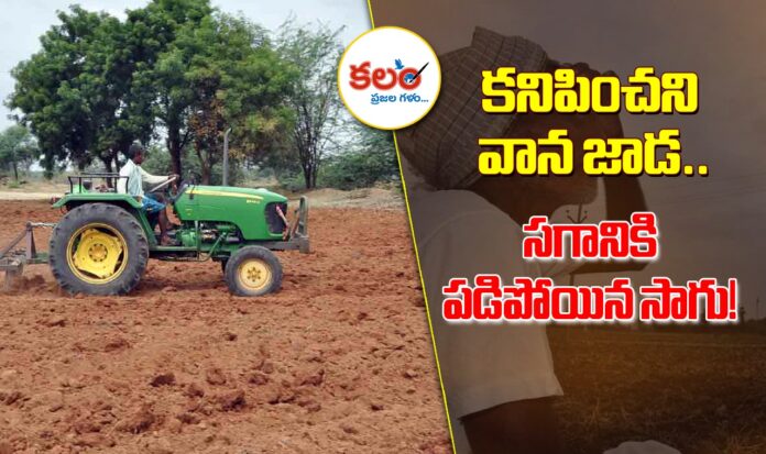 Telangana Agriculture