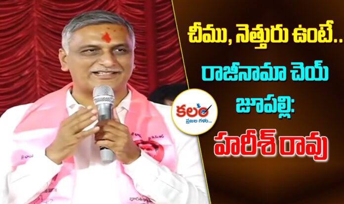 Harish Rao
