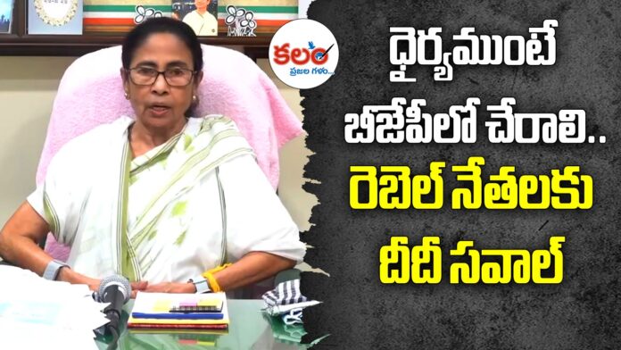 Mamata Banerjee