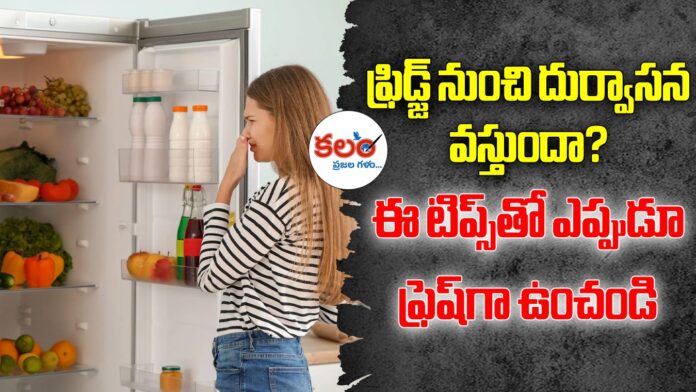 Refrigerator Cleaning Tips
