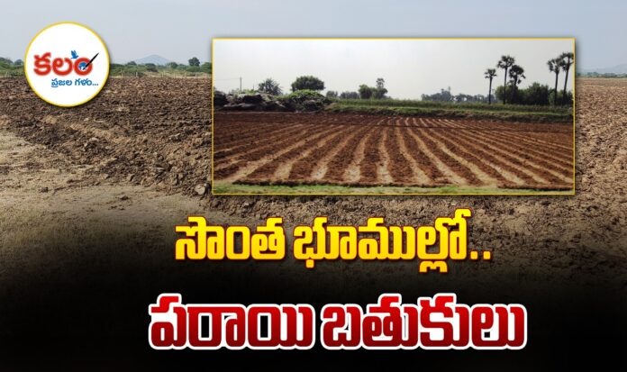 Dalit Farmers
