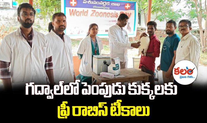 Gadwal