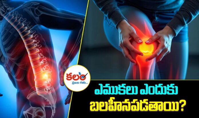 Bone Health