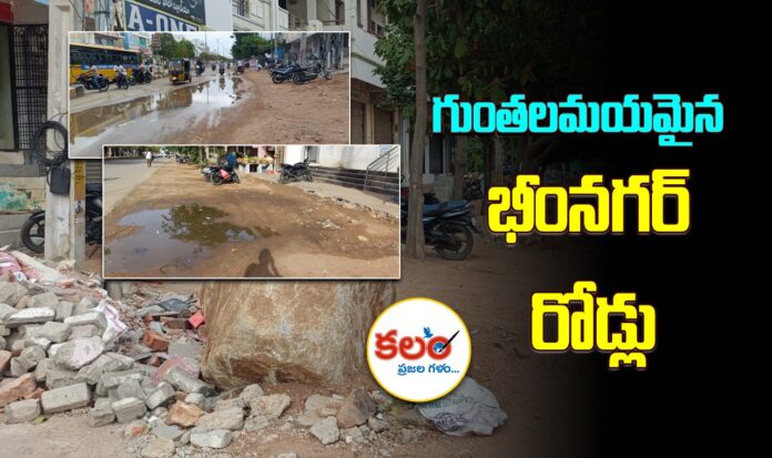 Gadwal