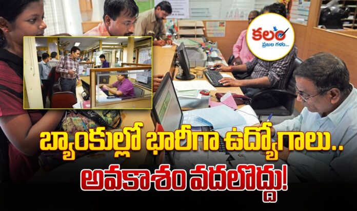 Bank Jobs