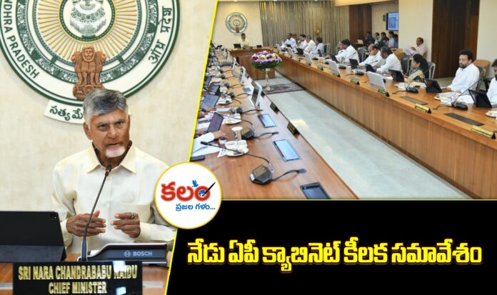 AP Cabinet