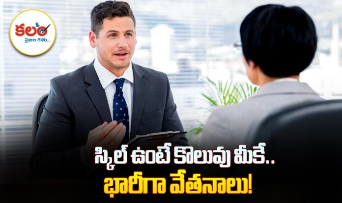 Job Opportunities