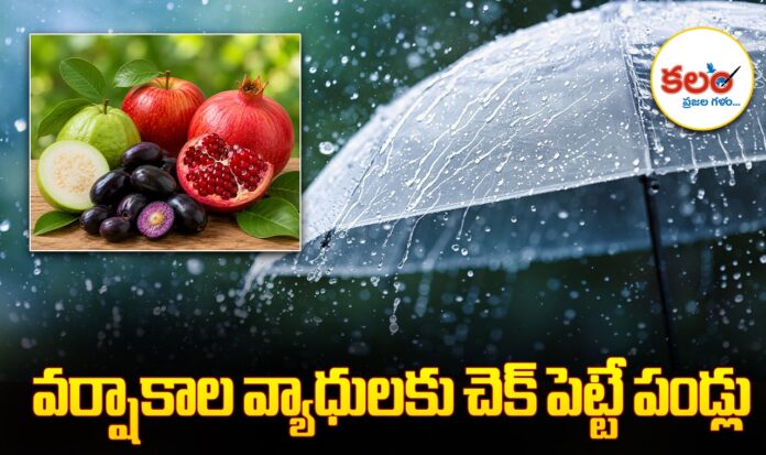 Immunity Boosting Fruits