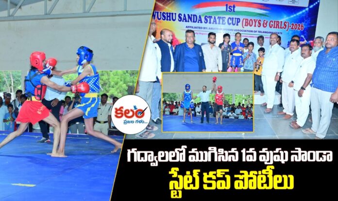 1st WUSHU SANDA State Cup