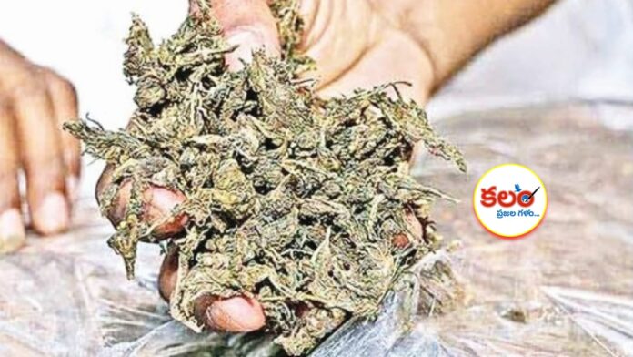 Private Travels Bus Ganja