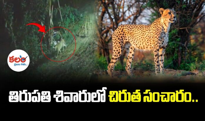 Tirupati