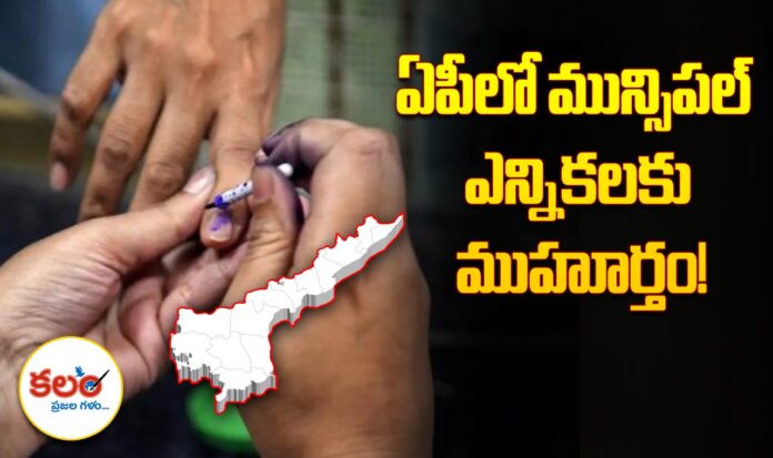 AP Municipal Elections