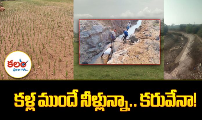 Dubbaka Farmers