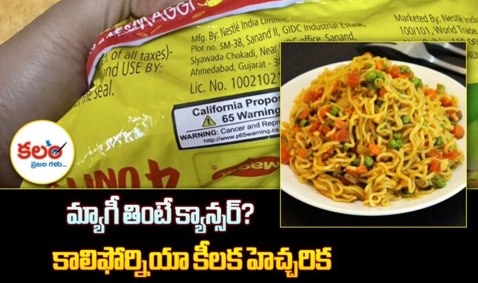 Maggi
