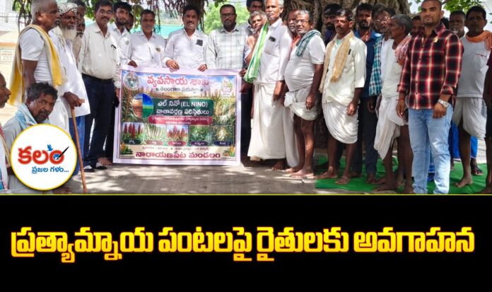 Narayanpet