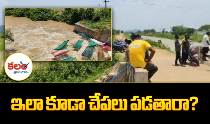 Saree Fishing