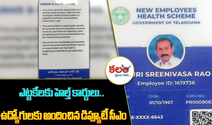 Employees Health Cards