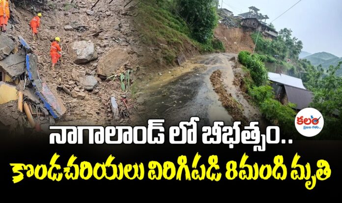 Nagaland Landslide