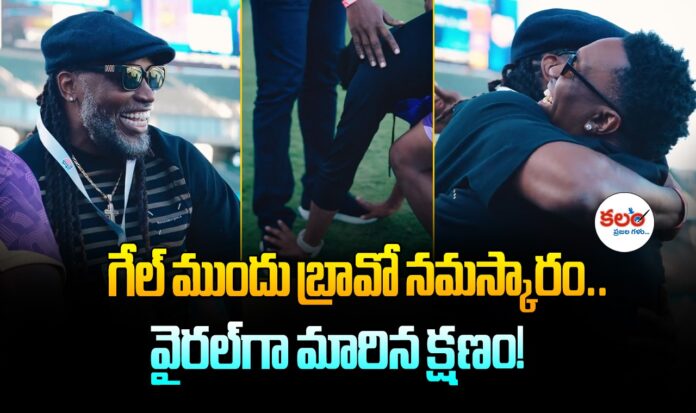 Chris Gayle - Bravo