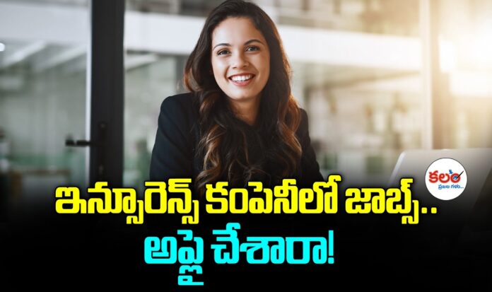 Assistant Jobs