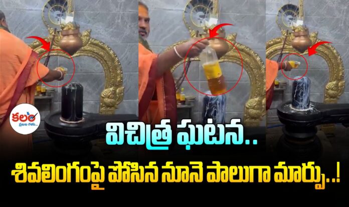 Chittoor Shiva Temple