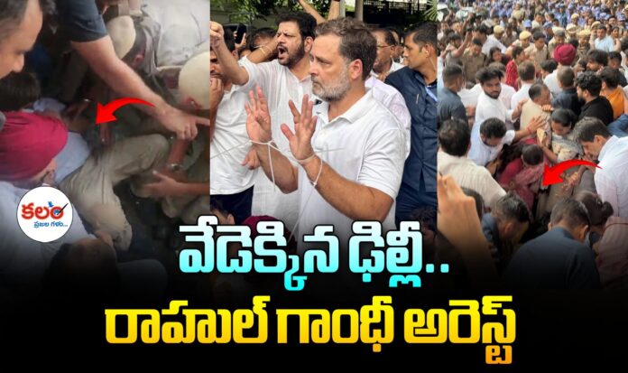 Rahul Arrest