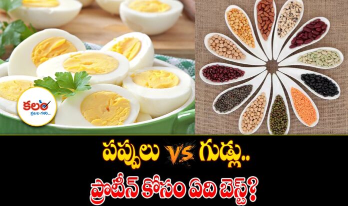 Dal vs Eggs