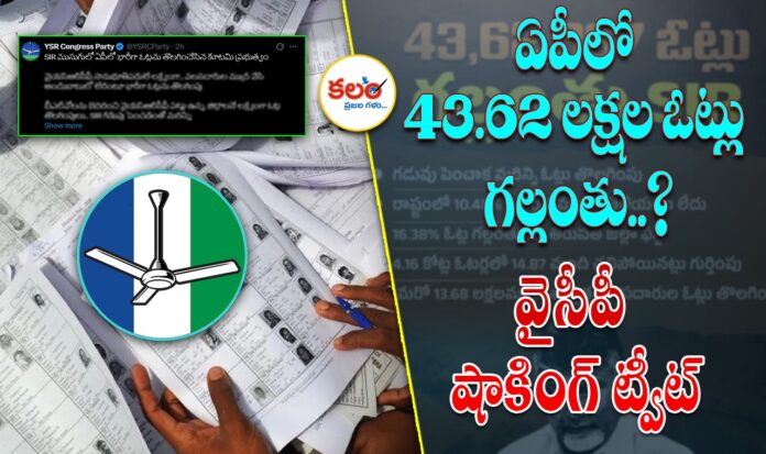 YCP