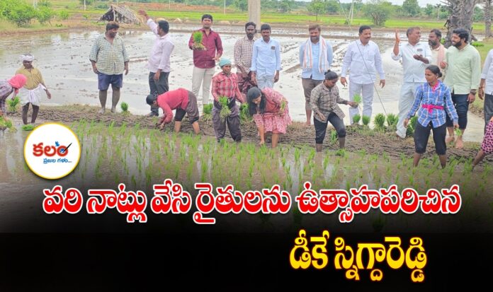 DK Snigdha Reddy